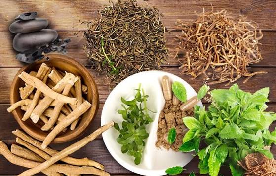 داروهای گیاهی